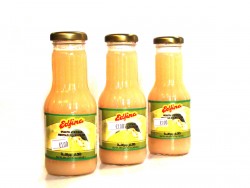 Edfina Guava nektr 235ml